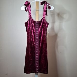 NWT F21 Velvet Dress